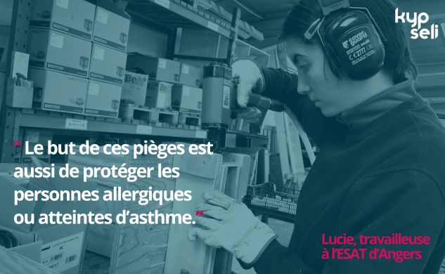 Des pièges à frelons asiatiques signés Kypseli
